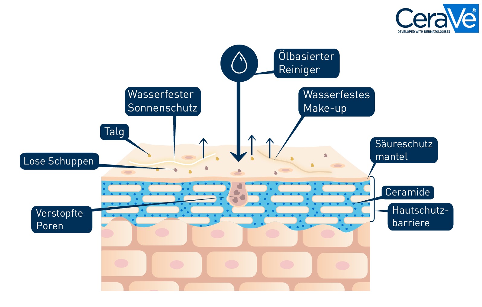 Grafik der Haut und der ölbasierten Reinigung beim Double Cleansing